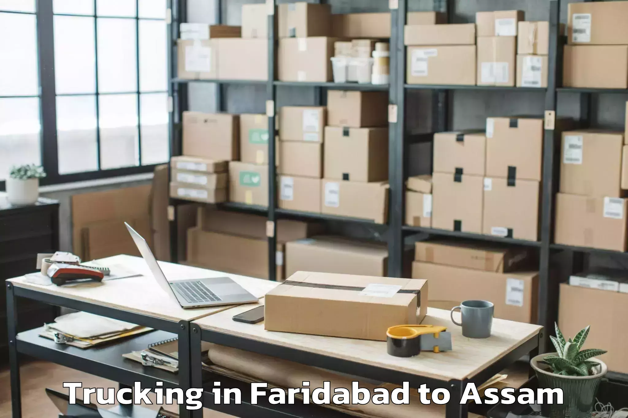 Leading Faridabad to Tengakhat Trucking Provider